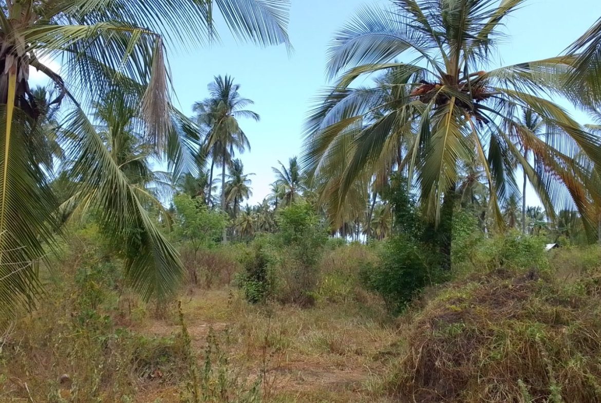 Land for sale in Watamu