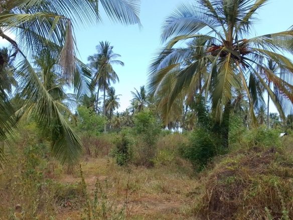Land for sale in Watamu