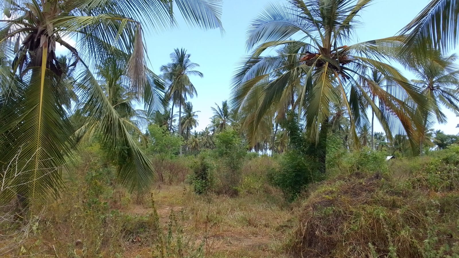 Land for sale in Watamu