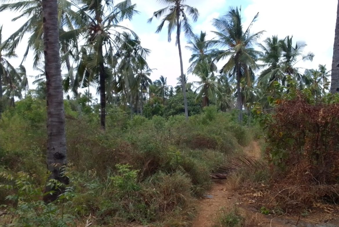 Land for sale in Watamu