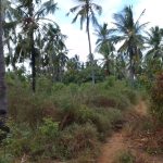 Land for sale in Watamu