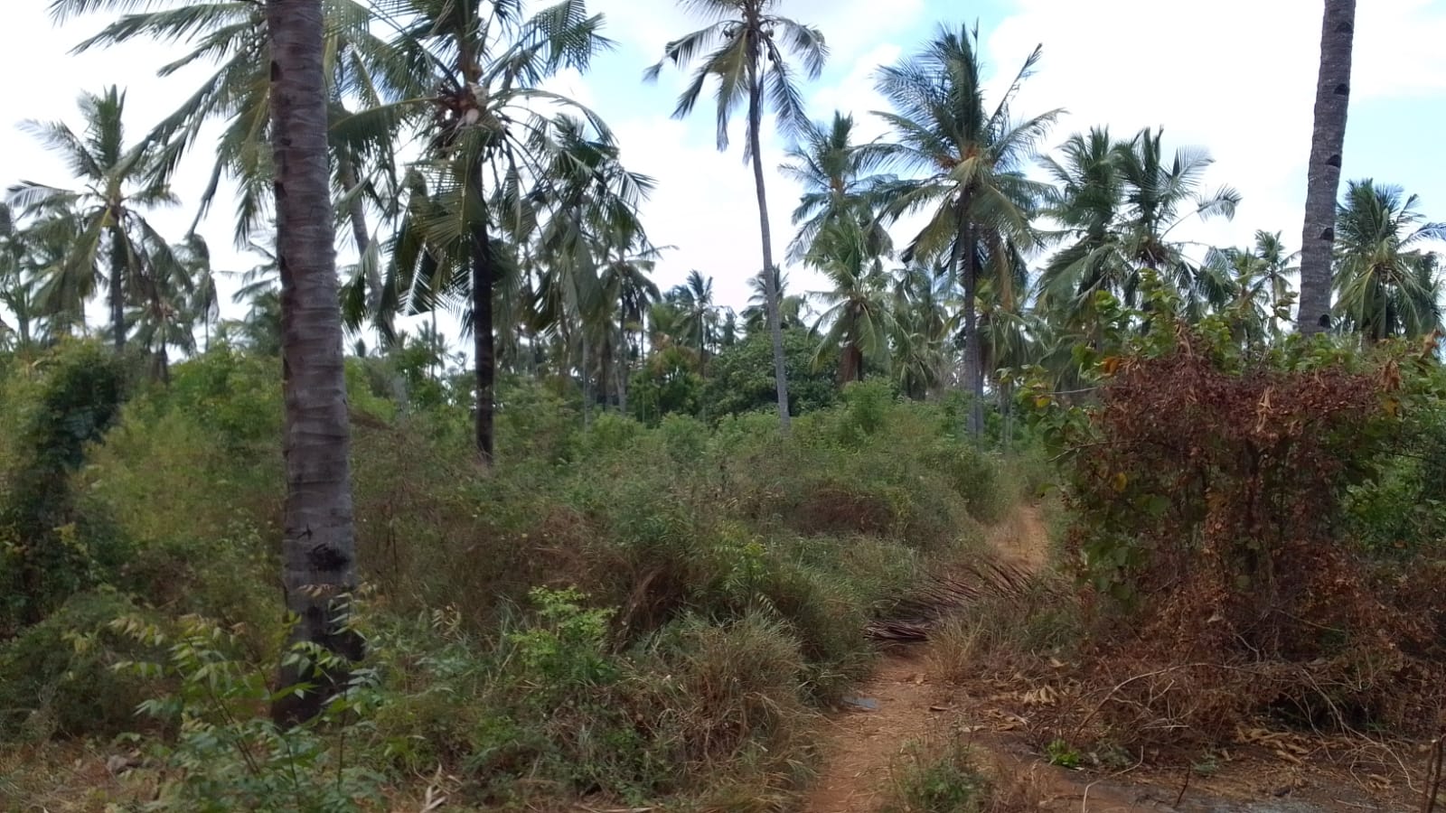 Land for sale in Watamu