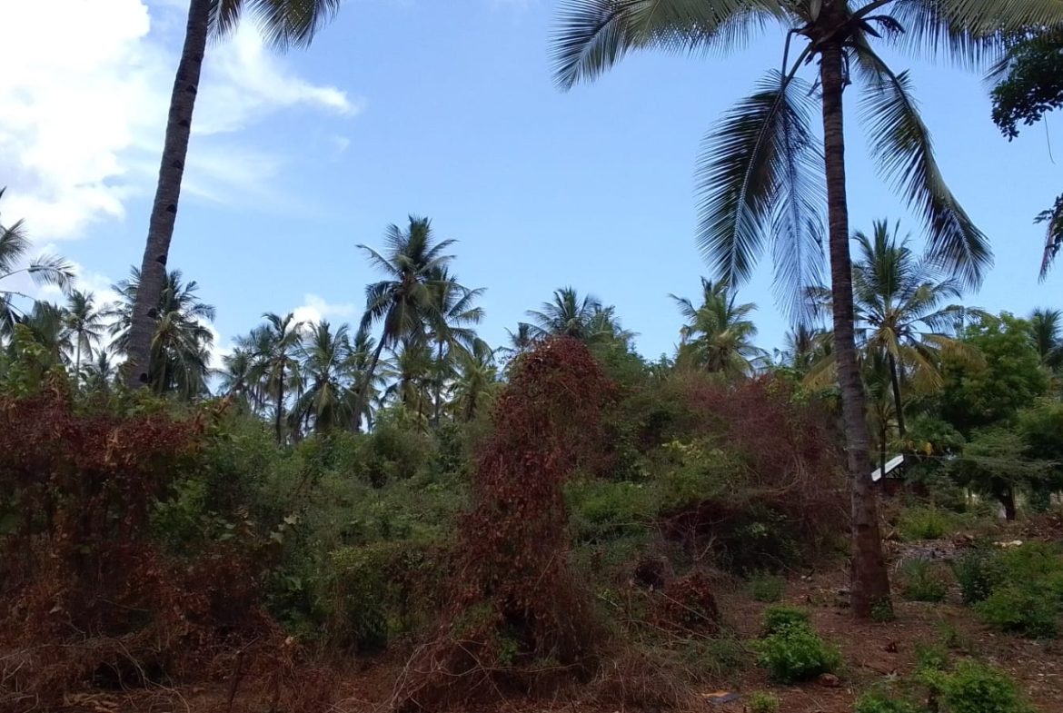 Land for sale in Watamu