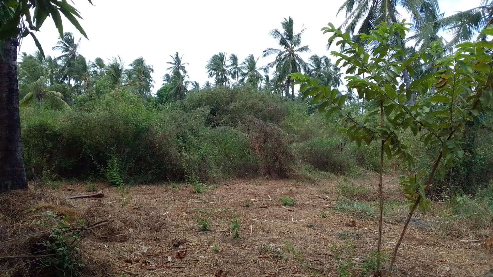 Land for sale in Watamu