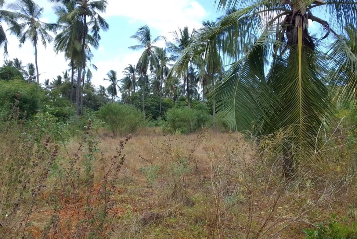 Land for sale in Watamu