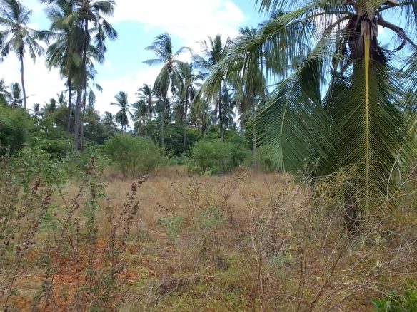 Land for sale in Watamu