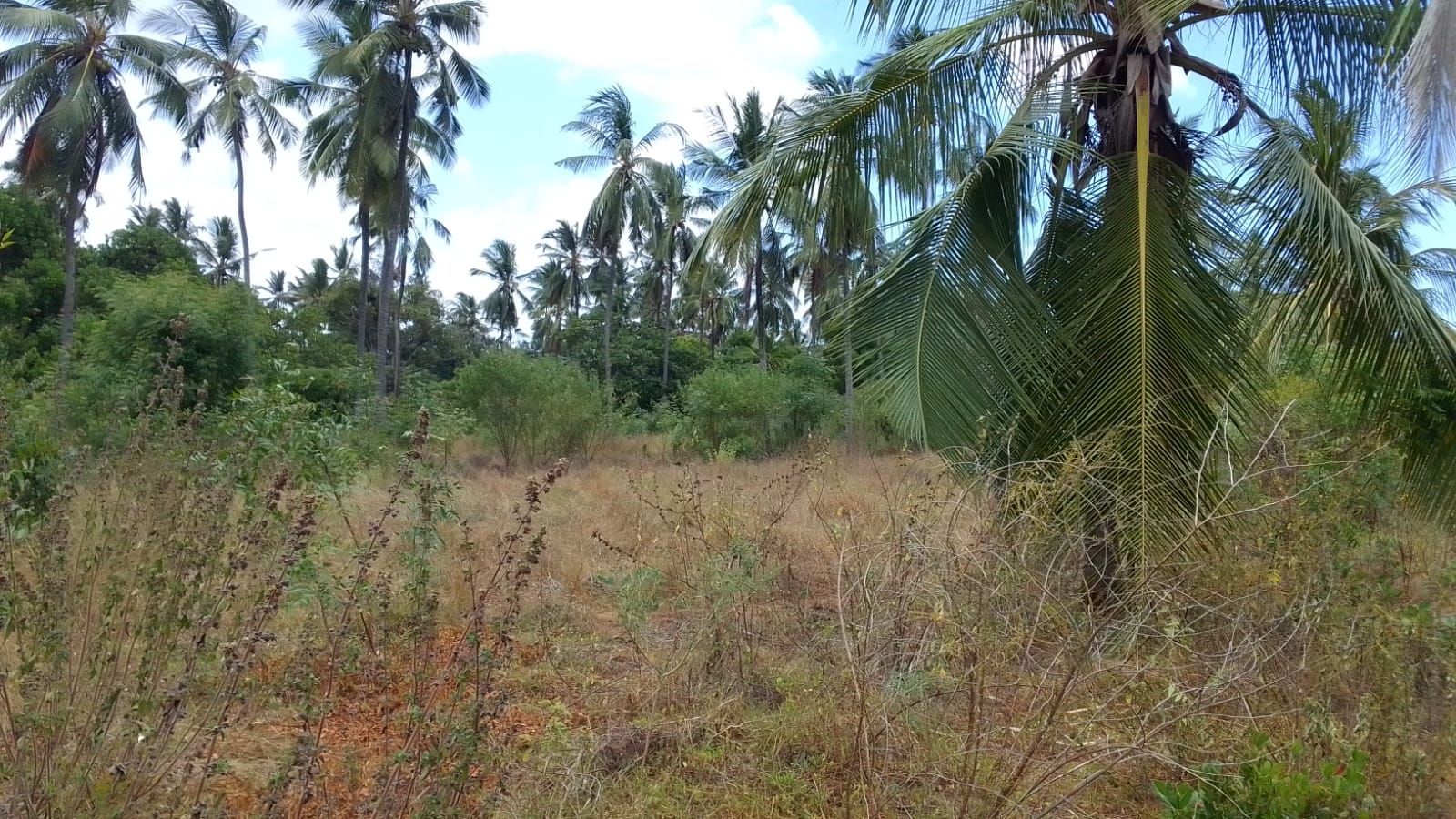 Land for sale in Watamu