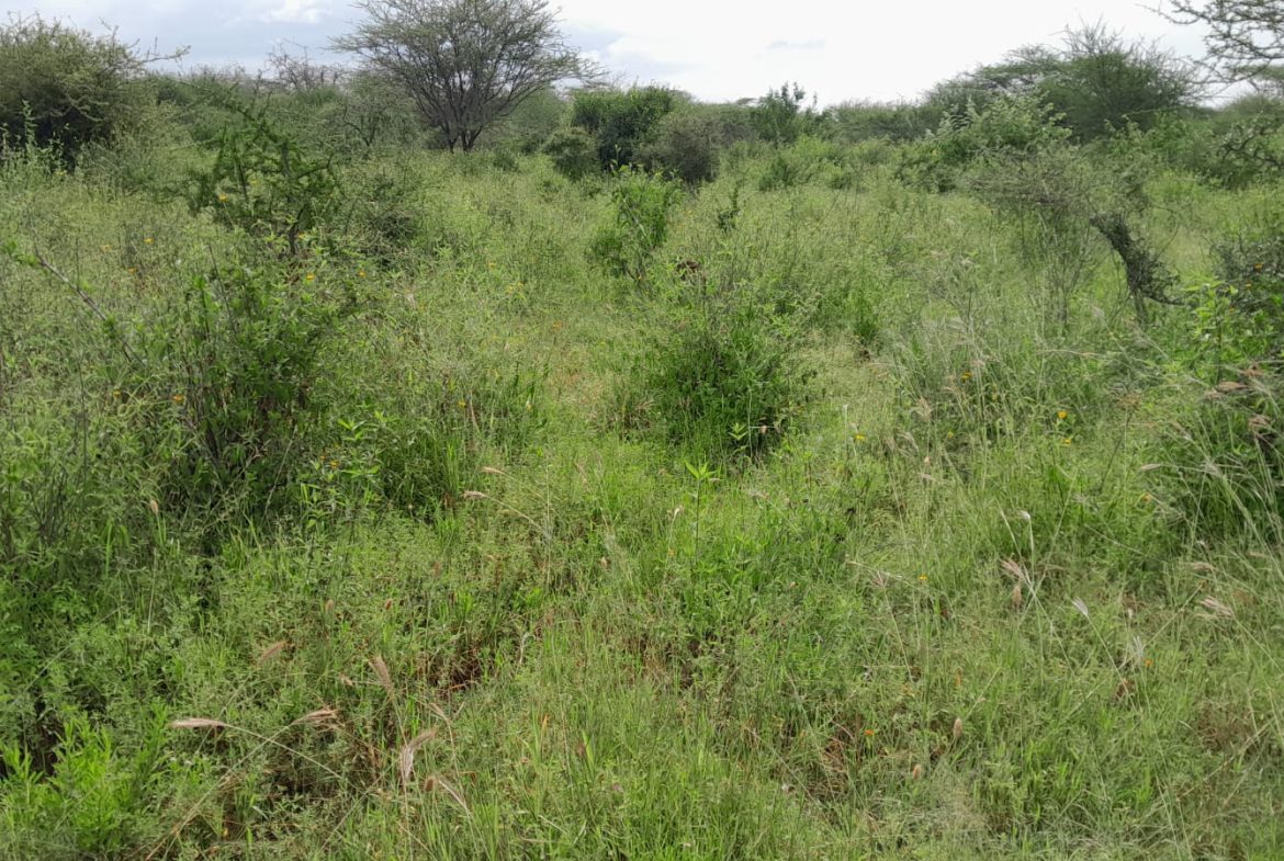 50 Acre ranch for sale in Kajido county