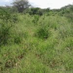 50 Acre ranch for sale in Kajido county