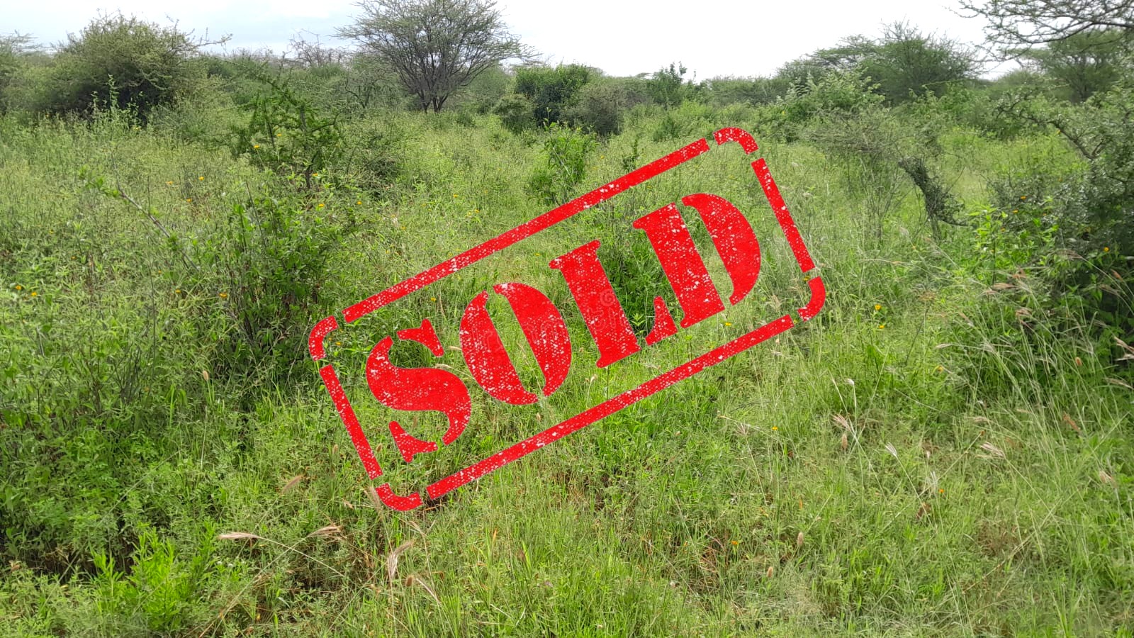 Luxurious 50 Acre Ranch for sale in Olkeriai, Kajiado County