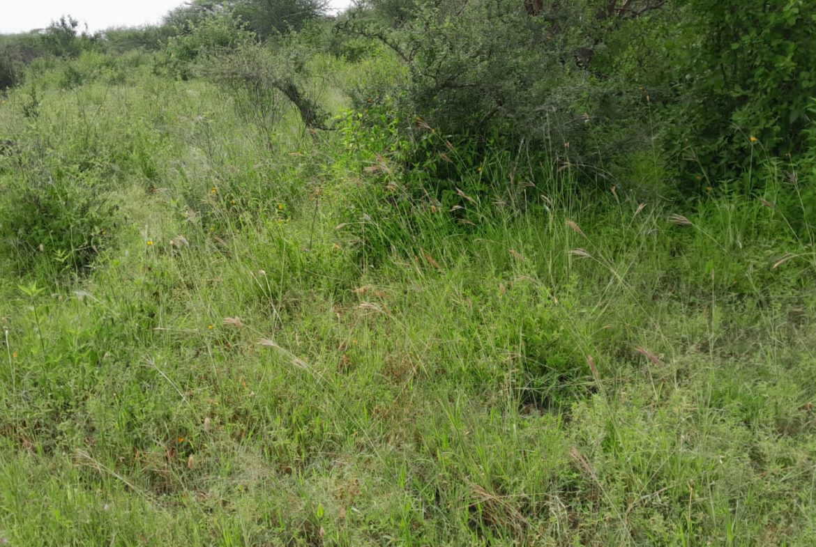 50 Acre ranch for sale in Kajido county