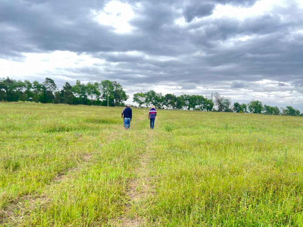 Mweiga ranch for sale