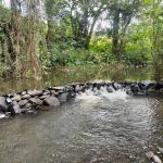 Mweiga, 120 acre for sale