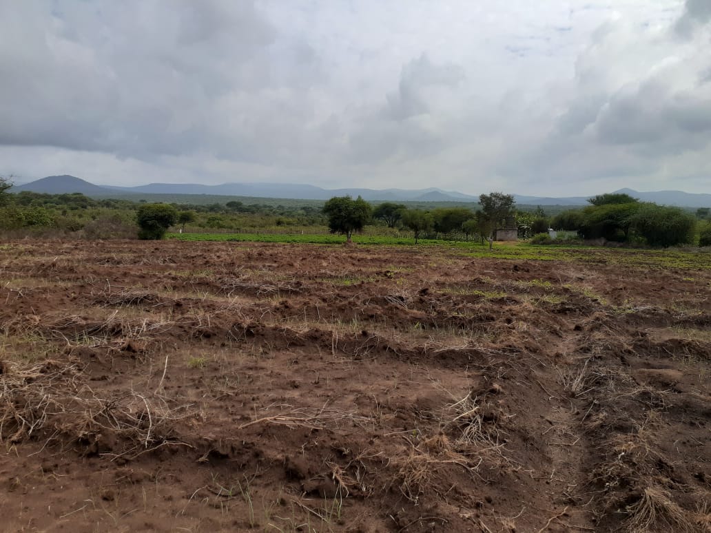 50 Acre ranch for sale in Kajido county