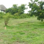 Land for sale on near Malindi Marine Park