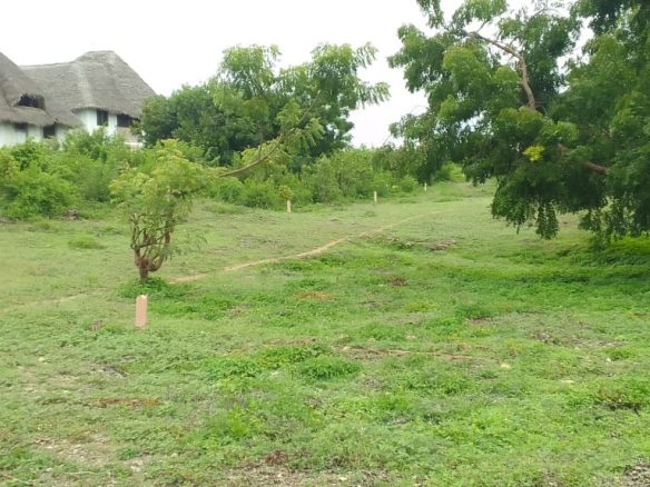 Land for sale on near Malindi Marine Park