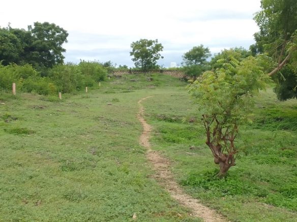 Land for sale on near Malindi Marine Park