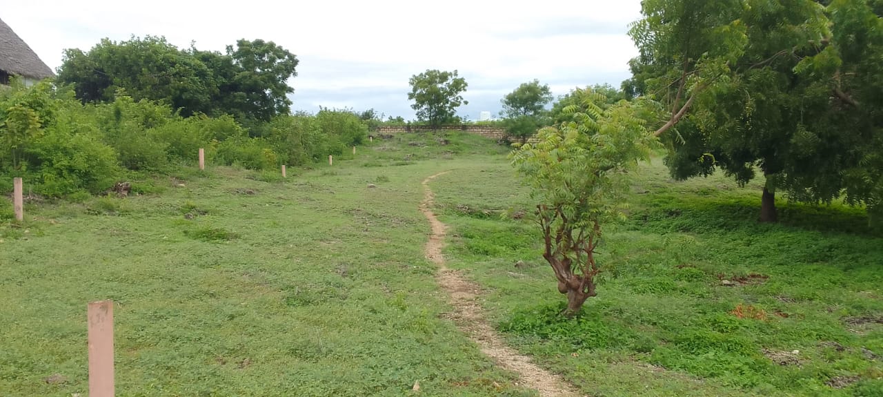 Land for sale on near Malindi Marine Park