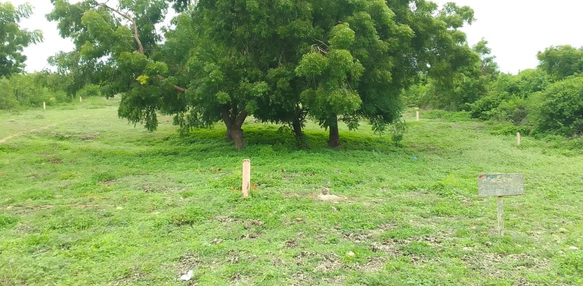 Land for sale on near Malindi Marine Park