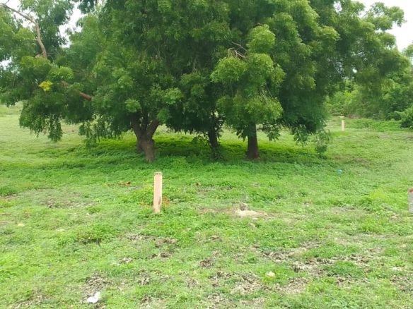 Land for sale on near Malindi Marine Park