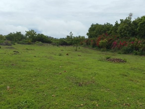 Land for sale in Malindi