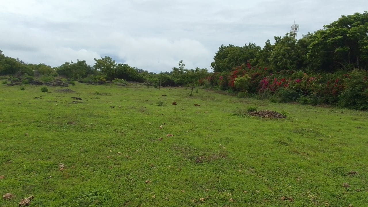 Land for sale in Malindi