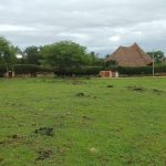 Land for sale in Malindi