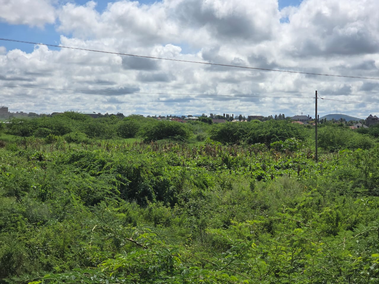 Prime Residential Plot in Taveta Town