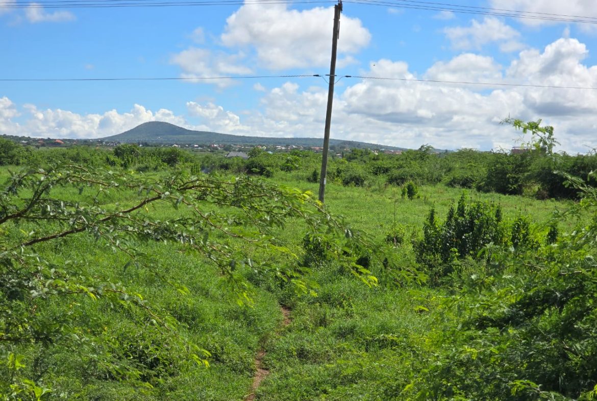 Prime Residential Plot in Taveta Town