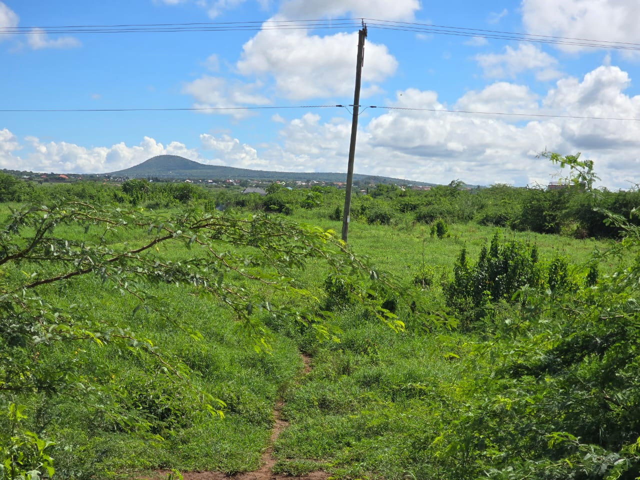 Prime Residential Plot in Taveta Town