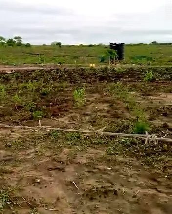 Cleared land for sale in Malindi