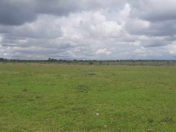 5 Acres for sale in Kitengela