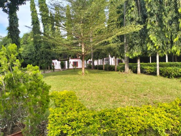 Unfurnished 1 br for rent suli suli road