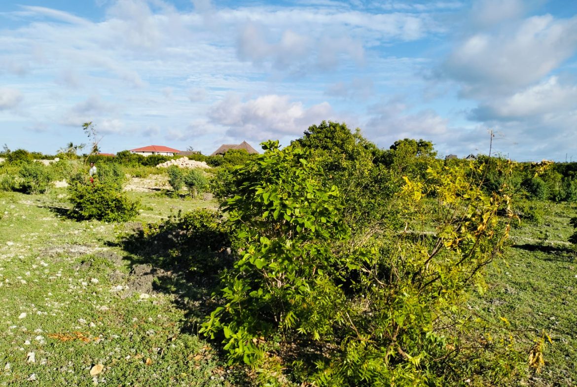 half acre for sale in Watamu