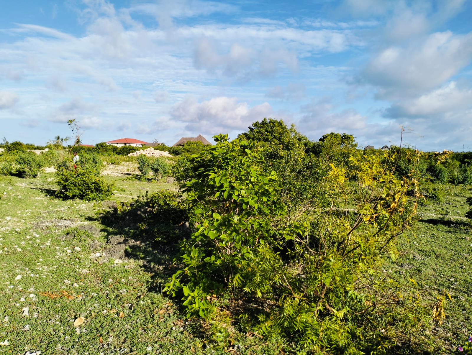 half acre for sale in Watamu