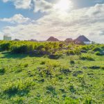 half acre for sale in Watamu