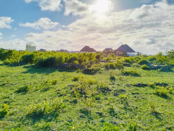 half acre for sale in Watamu