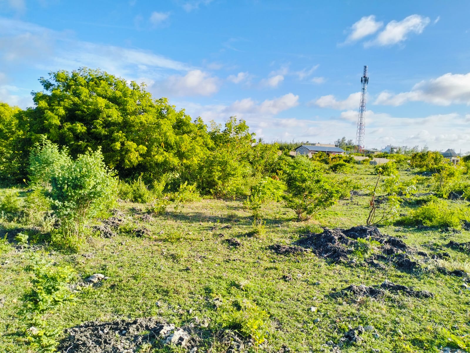 half acre for sale in Watamu