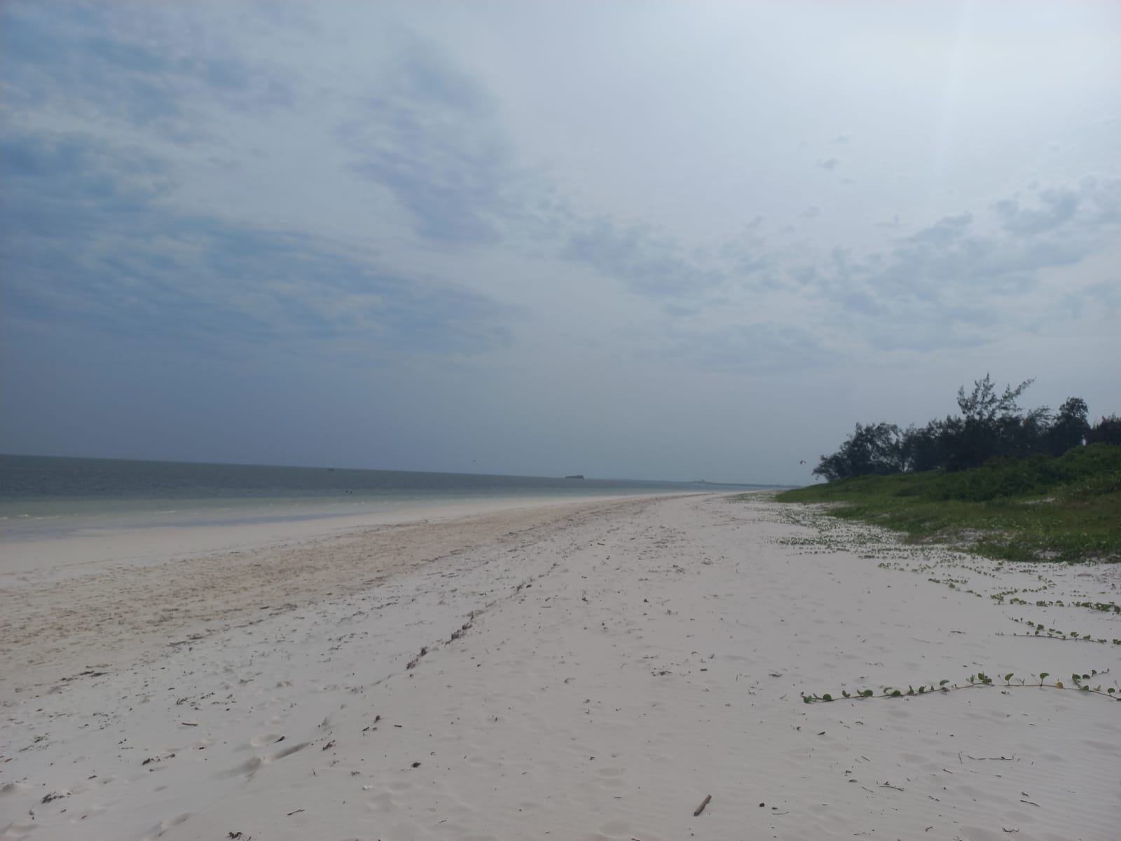 0.5 Acres for sale in Watamu near Garoad Beach