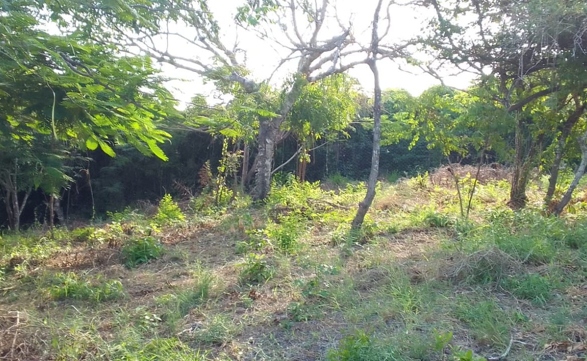 0.5 Acres for sale in Watamu near Garoad Beach