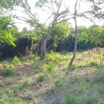 0.5 Acres for sale in Watamu near Garoad Beach