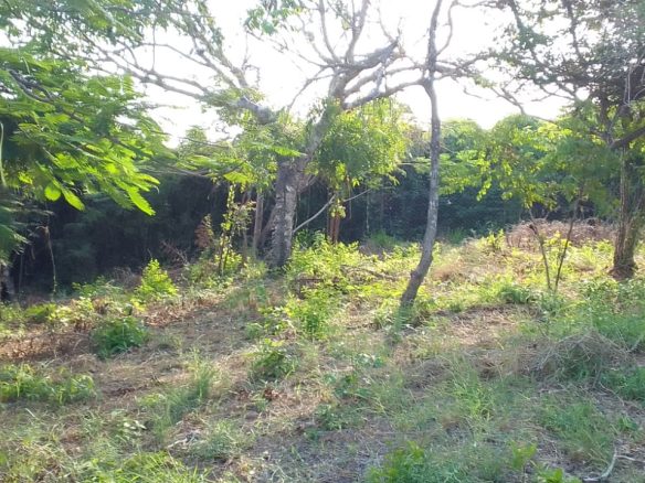 0.5 Acres for sale in Watamu near Garoad Beach