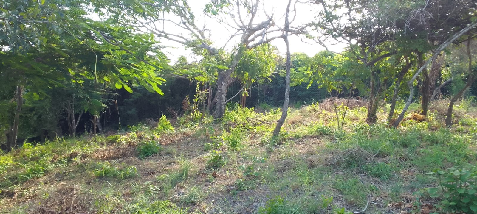 0.5 Acres for sale in Watamu near Garoad Beach