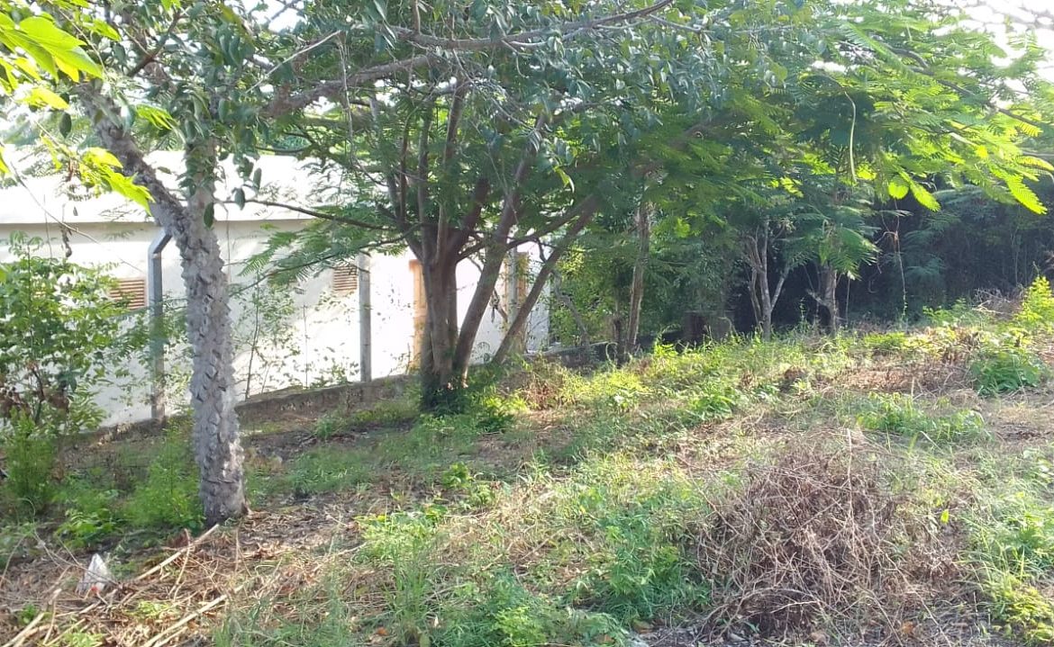 0.5 Acres for sale in Watamu near Garoad Beach