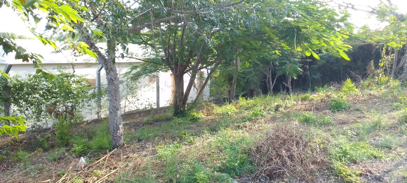 0.5 Acres for sale in Watamu near Garoad Beach