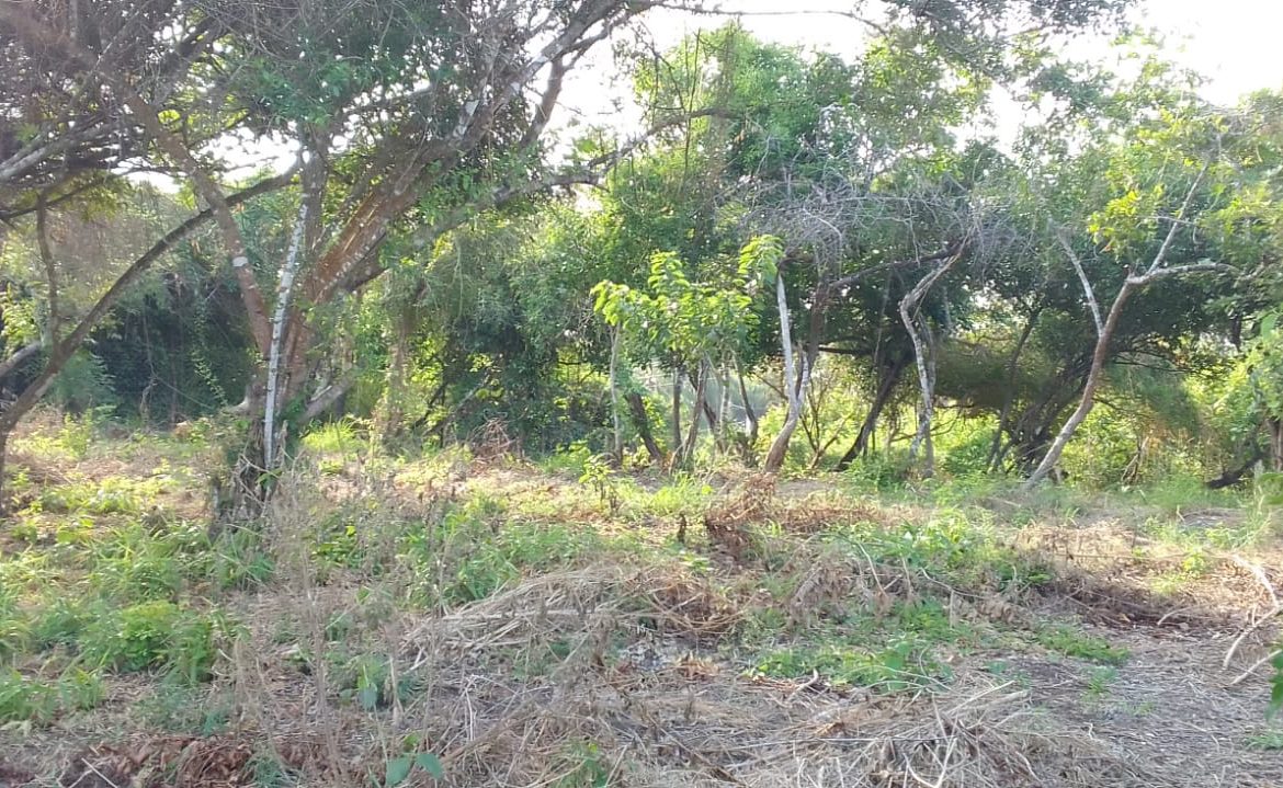 0.5 Acres for sale in Watamu near Garoad Beach