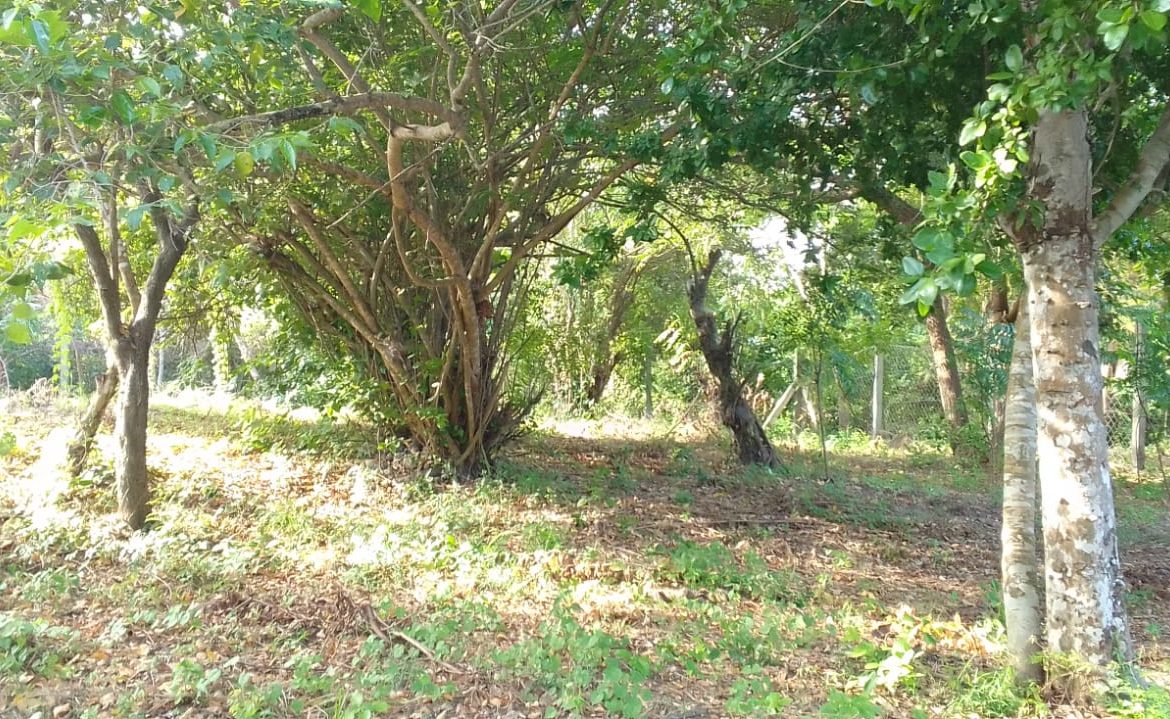 0.5 Acres for sale in Watamu near Garoad Beach