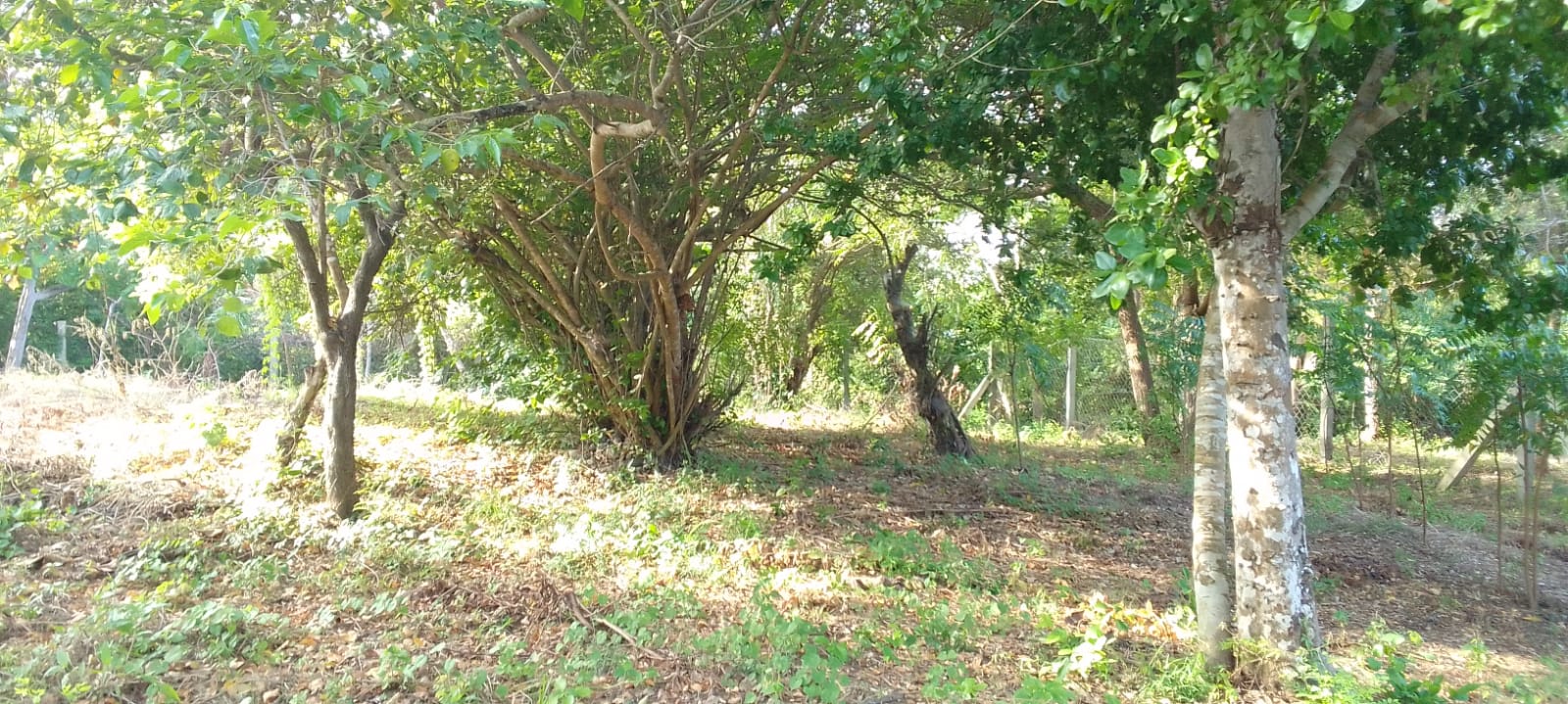 0.5 Acres for sale in Watamu near Garoad Beach