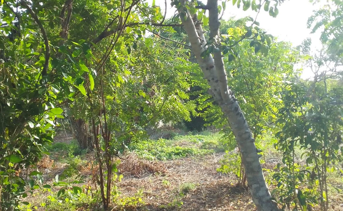 0.5 Acres for sale in Watamu near Garoad Beach