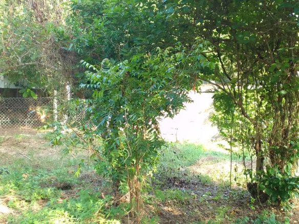 0.5 Acres for sale in Watamu near Garoad Beach